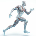 Neuromuscular Adaptation and Visualization Techniques in Achieving Six-pack Abs