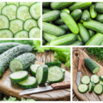 30 Water Rich Foods for Better Abs