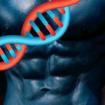 Genetic Hacks for Six-pack Success