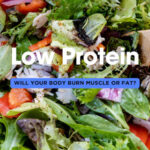Short-Term Low Protein Diet: Will Your Body Burn Muscle or Fat?